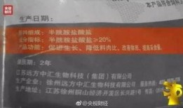 新闻单位爆料违法吗,法律边界与职业伦理的探讨
