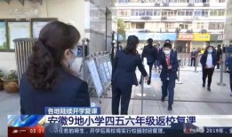 阜阳网红爆料新闻视频,揭秘当地热门事件背后的真相