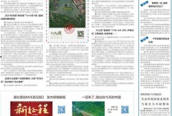 媒体爆料今日头条新闻,媒体曝惊天新闻，揭秘背后惊人真相！