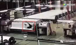 嘉亨工厂员工爆料视频,揭露工厂内幕与真实工作环境