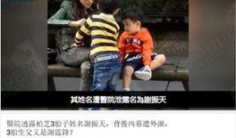 三胎生父爆料视频播放大全,揭秘背后真相与争议