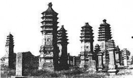 邢台塔林公园爆料事件视频,揭秘公园疑云