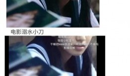 吃瓜娱乐圈香书,揭秘香书背后的瓜田秘事
