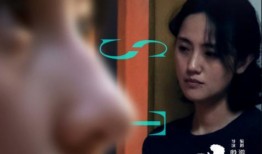 米饼姑姑维姐爆料视频在线观看,揭秘幕后真相，带你走进事件核心