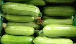 番瓜吃瓜视频免费观看,轻松解锁精彩瞬间