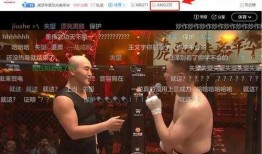 虎牙嘉年华往年爆料视频,回顾往年精彩瞬间，揭秘2024年狂欢亮点