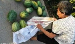 临沂吃瓜最新事件爆料,揭秘背后真相与争议焦点