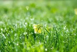 春风春雨最新爆料,娱乐圈最新爆料大起底