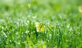 春风春雨最新爆料,娱乐圈最新爆料大起底