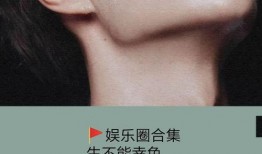 娱乐圈小说推文公开爆料,揭秘明星背后的秘密与真相