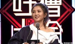 苏醒爆料何洁真相视频,苏醒爆料背后的惊人内幕