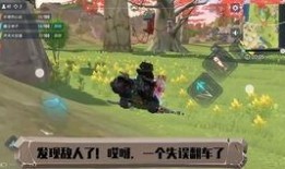 荒野乱斗爆料视频大全集,揭秘游戏新内容与精彩瞬间