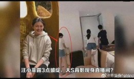 张兰爆料汪小菲孩子视频,揭秘豪门育儿幕后