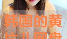 在线观看片儿,在线片儿盛宴概览