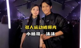 独家爆料小杨哥视频,小杨哥视频背后的惊人内幕