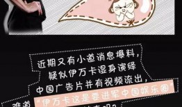 娱乐圈爆料中文,揭秘明星背后的故事与真相