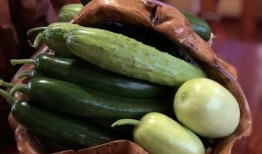 网红吃的软瓜有哪些,网红们钟爱的软瓜美食大盘点