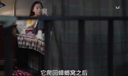 三姐爆料视频大全播放,揭秘幕后真相，热门话题深度解析