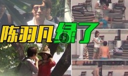 娱乐星扒皮爆料,星扒皮爆料背后的真相与内幕