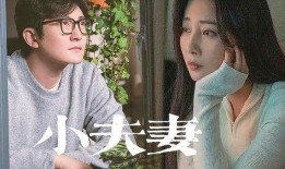 网红夫妇爆料视频播放,揭秘幕后真相与情感纠葛