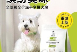 诚实一口狗粮爆料视频播放,诚实一口揭示甜蜜瞬间