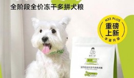 诚实一口狗粮爆料视频播放,诚实一口揭示甜蜜瞬间