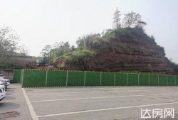 金龙大道最新爆料,揭秘神秘项目背后的惊人真相