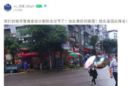 南部县今日爆料,聚焦热点事件，揭示社会现象