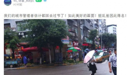 南部县今日爆料,聚焦热点事件，揭示社会现象