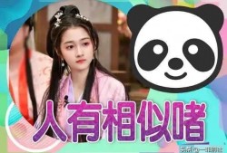 小瓜鹿最新爆料视频,揭秘娱乐圈幕后真相