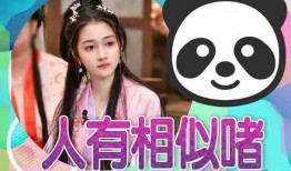 小瓜鹿最新爆料视频,揭秘娱乐圈幕后真相