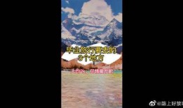 旅游爆料新闻最新版视频,最新爆料新闻视频深度解析