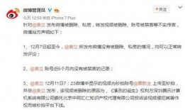 陈春微博爆料最新消息视频,最新消息视频深度解析