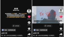 抖音爆料的视频内容是什么,热门视频内容大曝光！