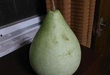 盐城吃瓜网红,带你领略地方美食风情