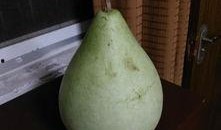 盐城吃瓜网红,带你领略地方美食风情