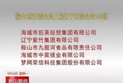 鞍山新闻爆料,最新爆料揭示城市动态与民生焦点
