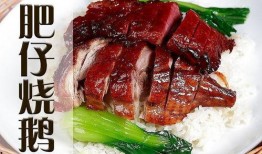 烧鸭快餐爆料怎么做视频,揭秘视频制作全攻略