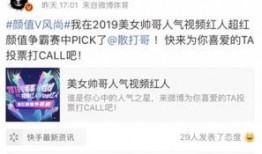 风景哥最新爆料微博,揭秘热门景点背后的惊人真相！”