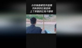 最新偷鱼爆料新闻视频下载,视频揭秘惊人内幕，偷鱼团伙作案手法曝光
