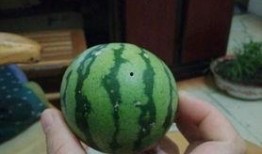 盐城吃瓜网红,带你领略地方美食风情