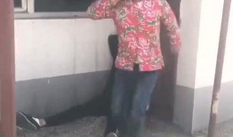 农村爆料搞笑视频大全,农村爆料搞笑视频大盘点