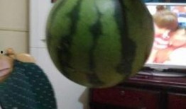 盐城吃瓜网红,带你领略地方美食风情