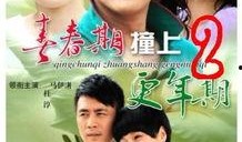 青春期2高清在线观看,重温青春岁月的青春2