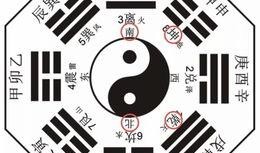 八卦每日爆料最新日本,揭秘日本最新热点事件