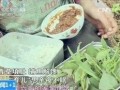 青草 在线观看,踏青寻梦，共赴青春盛宴
