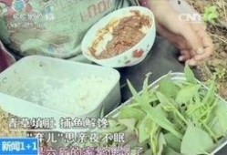 青草 在线观看,踏青寻梦，共赴青春盛宴