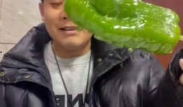 网红杨咩咩吃瓜,揭秘网红圈幕后故事