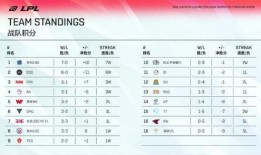 硬币哥爆料最新阵容,最新阵容大揭秘，明星云集引期待！