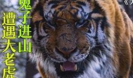 虎虎虎电影在线观看,在线观看，热血沸腾的冒险之旅